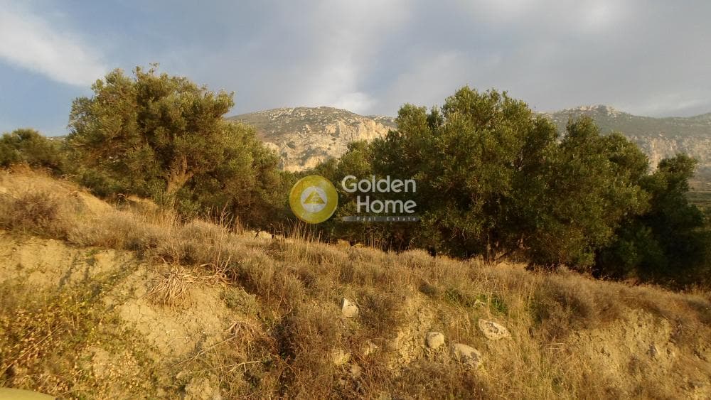 Building Plot in Agios Vlasios, Archanes — Photo 8 of 8