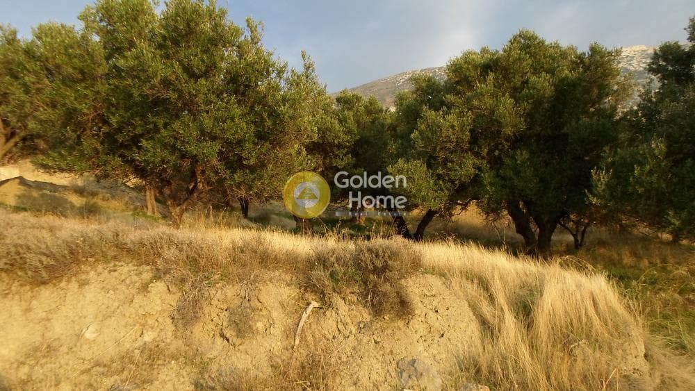 Building Plot in Agios Vlasios, Archanes — Photo 7 of 8