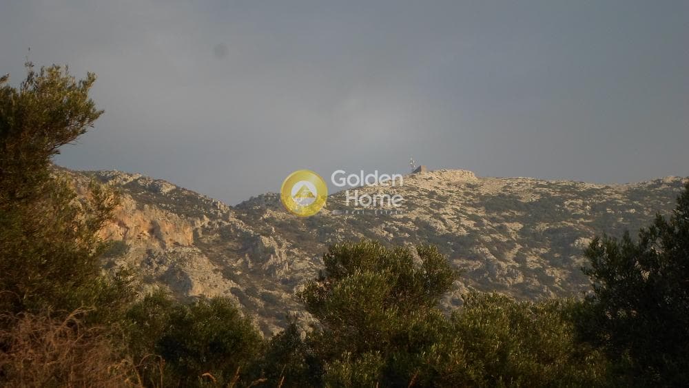 Building Plot in Agios Vlasios, Archanes — Photo 4 of 8