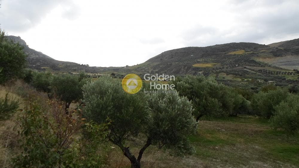 Οικόπεδο στην Άγιος Βλάσιος, Αρχάνες — Φωτογραφία 1 από 16