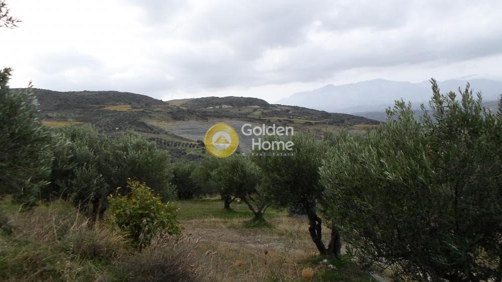 Οικόπεδο στην Άγιος Βλάσιος, Αρχάνες — Φωτογραφία 4 από 16