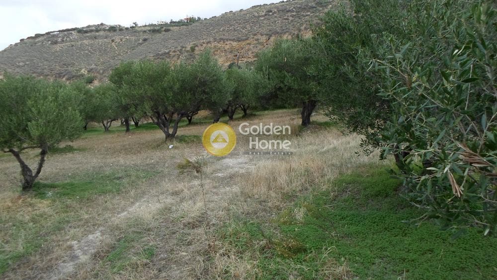 Οικόπεδο στην Άγιος Βλάσιος, Αρχάνες — Φωτογραφία 7 από 16