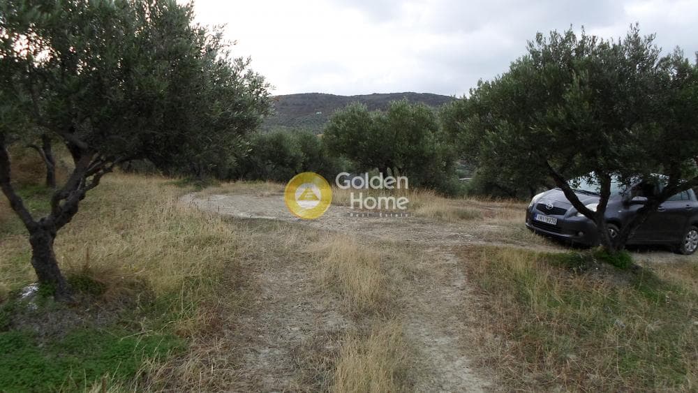 Οικόπεδο στην Άγιος Βλάσιος, Αρχάνες — Φωτογραφία 9 από 16