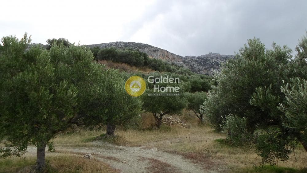 Οικόπεδο στην Άγιος Βλάσιος, Αρχάνες — Φωτογραφία 10 από 16