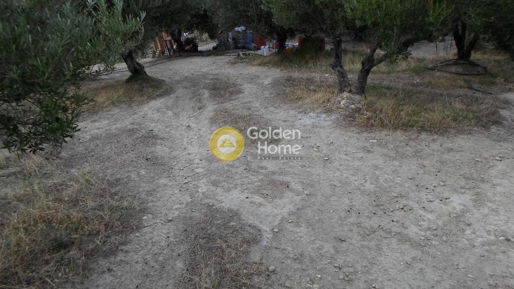 Οικόπεδο στην Άγιος Βλάσιος, Αρχάνες — Φωτογραφία 11 από 16