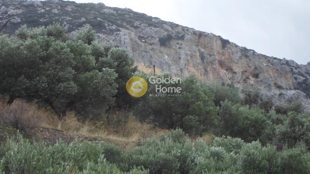 Οικόπεδο στην Άγιος Βλάσιος, Αρχάνες — Φωτογραφία 12 από 16
