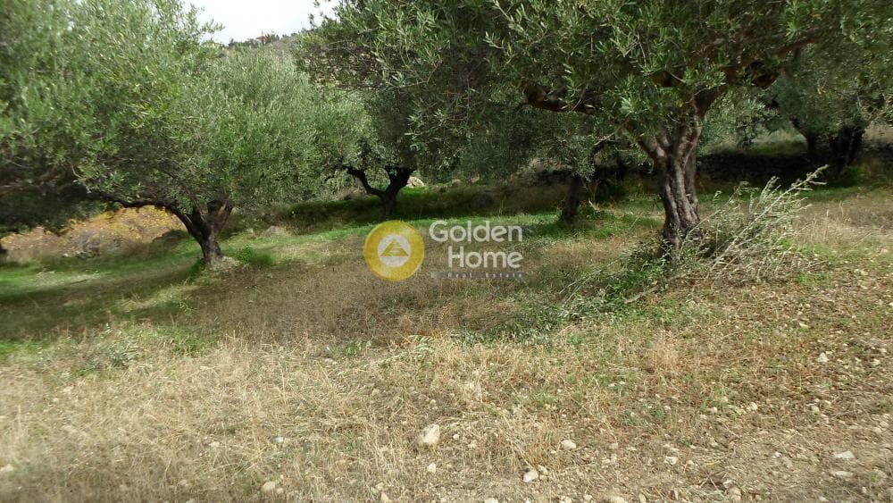 Οικόπεδο στην Άγιος Βλάσιος, Αρχάνες — Φωτογραφία 14 από 16