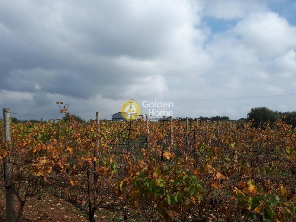 Building Plot in Alagni, Arkalochori — Photo 6 of 16