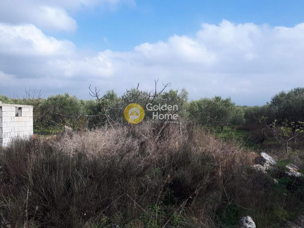 Building Plot in Alagni, Arkalochori — Photo 10 of 16