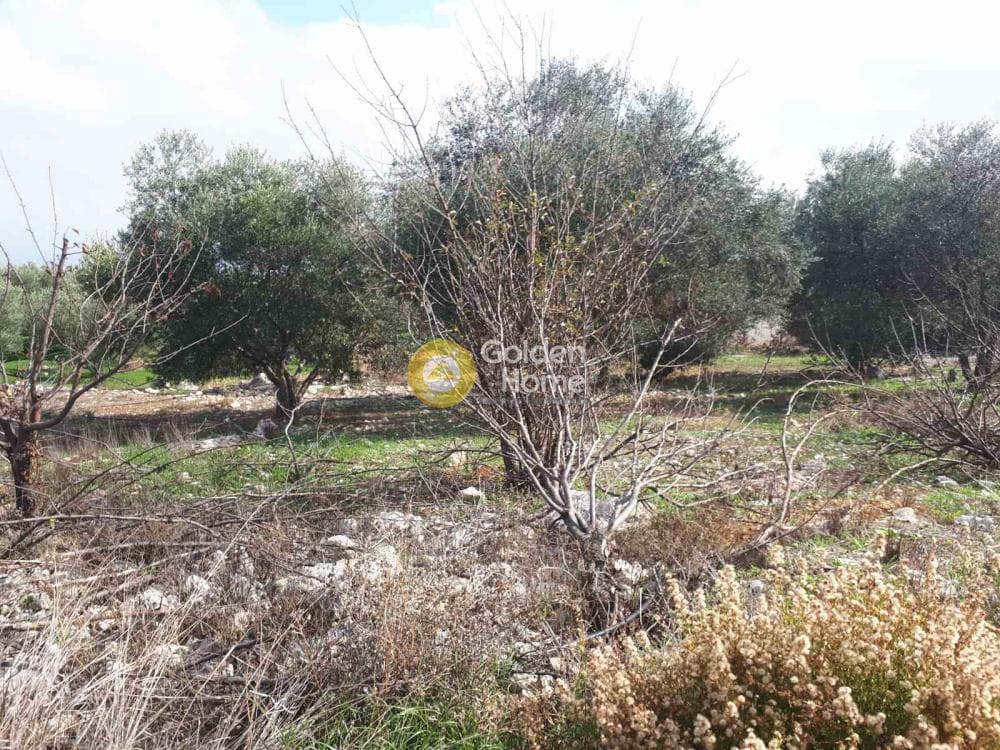 Building Plot in Alagni, Arkalochori — Photo 14 of 16