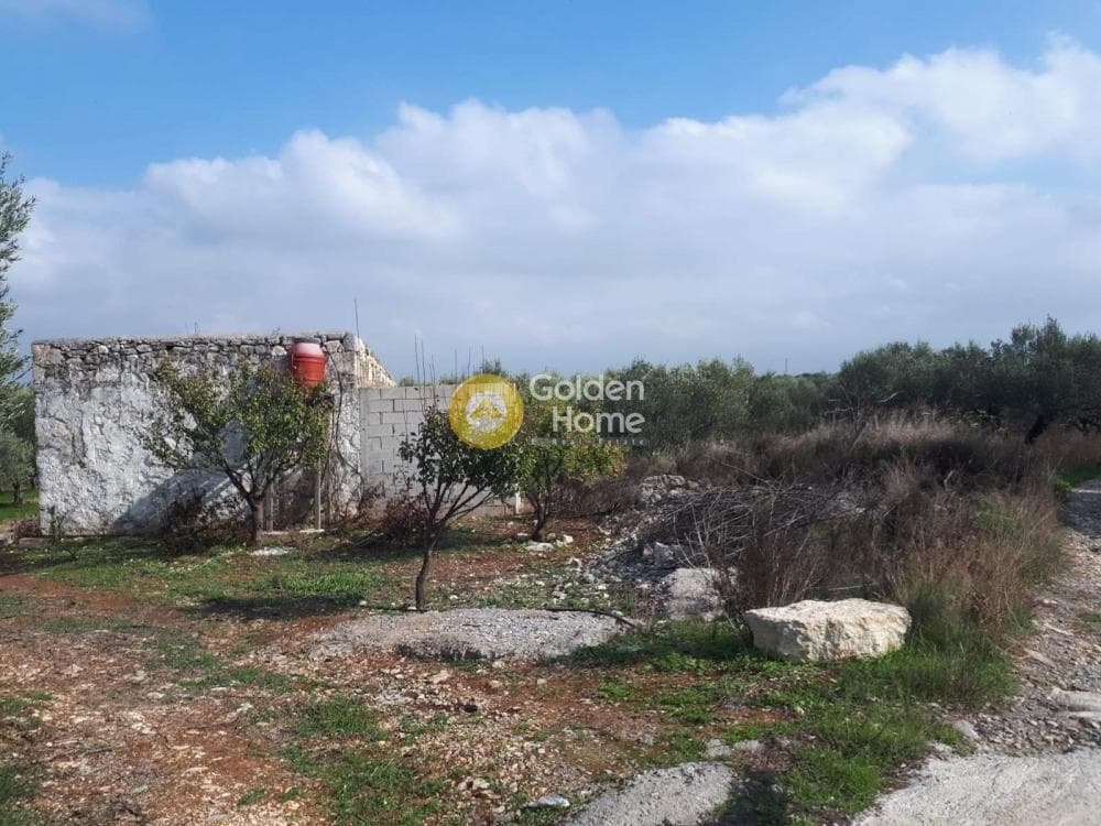 Building Plot in Alagni, Arkalochori — Photo 13 of 16