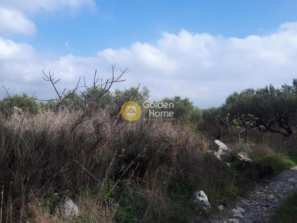 Building Plot in Alagni, Arkalochori — Photo 16 of 16