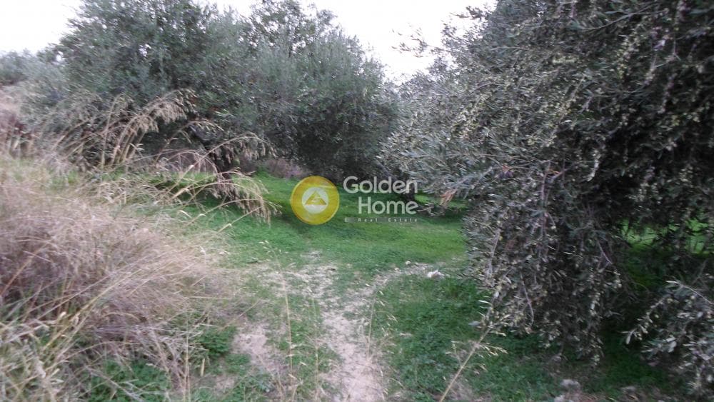 Οικόπεδο στην Φορτέτσα, Ηράκλειο Κρήτης — Φωτογραφία 2 από 8