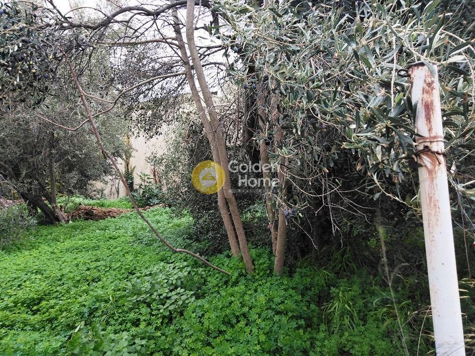 Οικόπεδο στην Πράσινος Λόφος, Ηράκλειο — Φωτογραφία 6 από 10