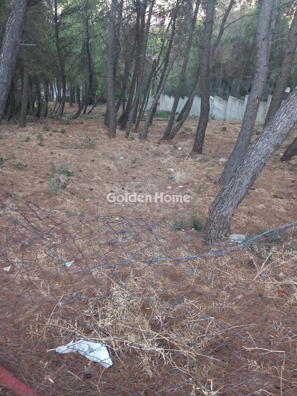 Building Plot in Efxinos Pontos, Stamata — Photo 3 of 3