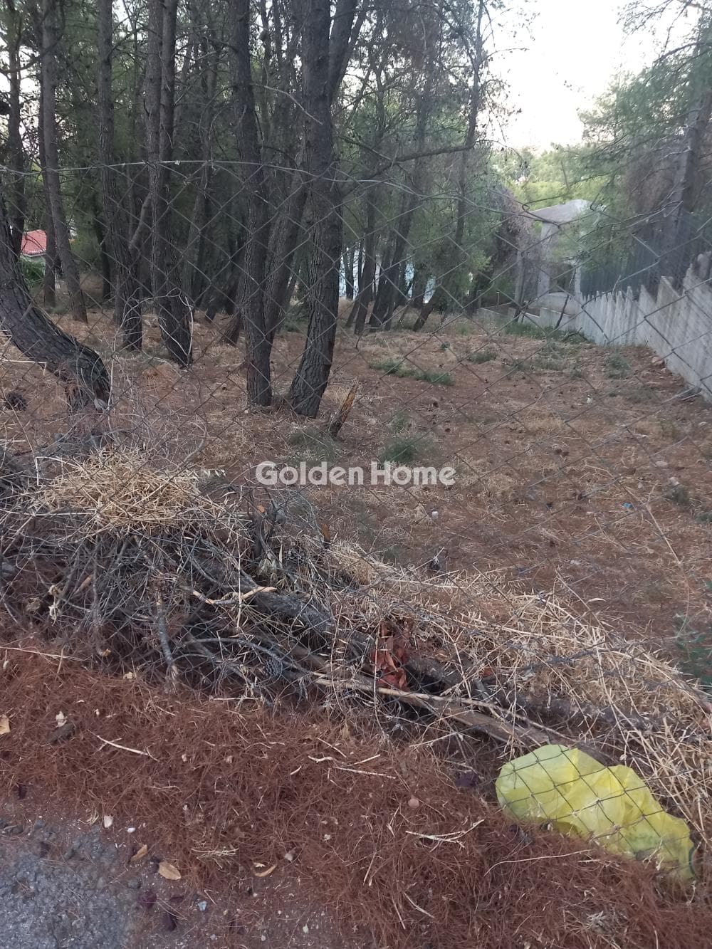 Building Plot in Efxinos Pontos, Stamata — Photo 2 of 3