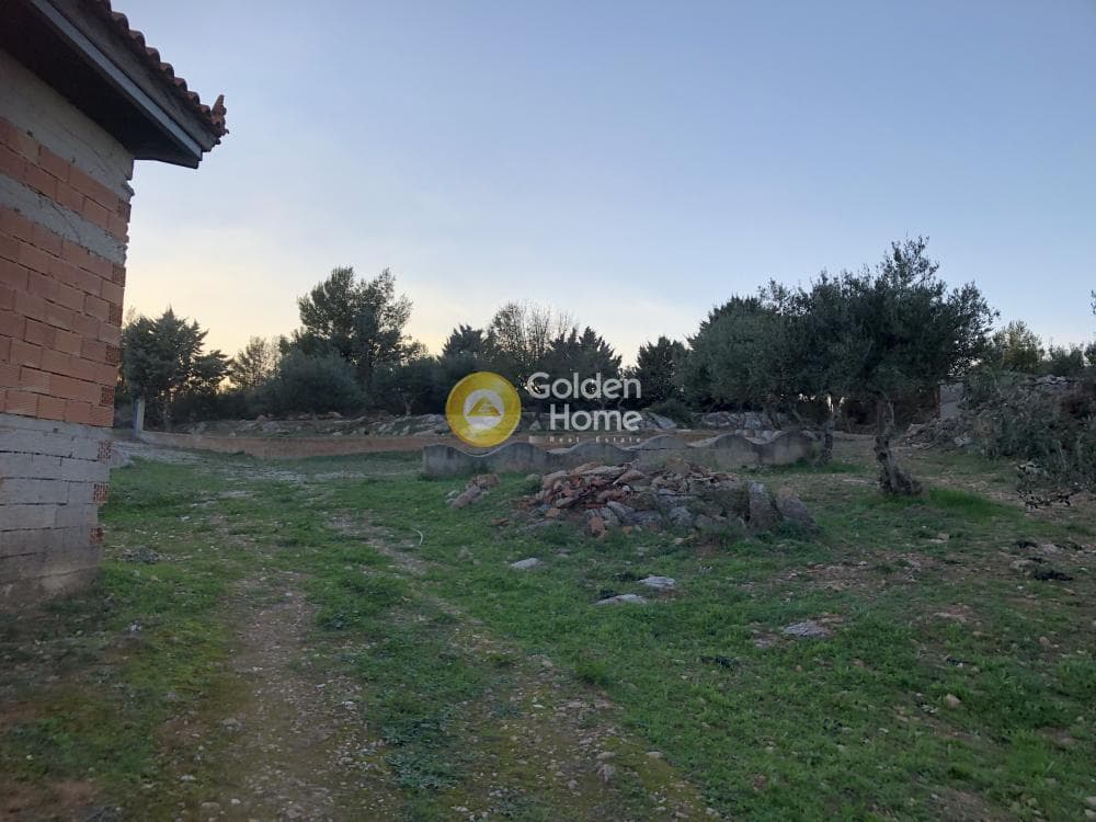 Parcel in Amigdaleza, Stamata — Photo 11 of 12