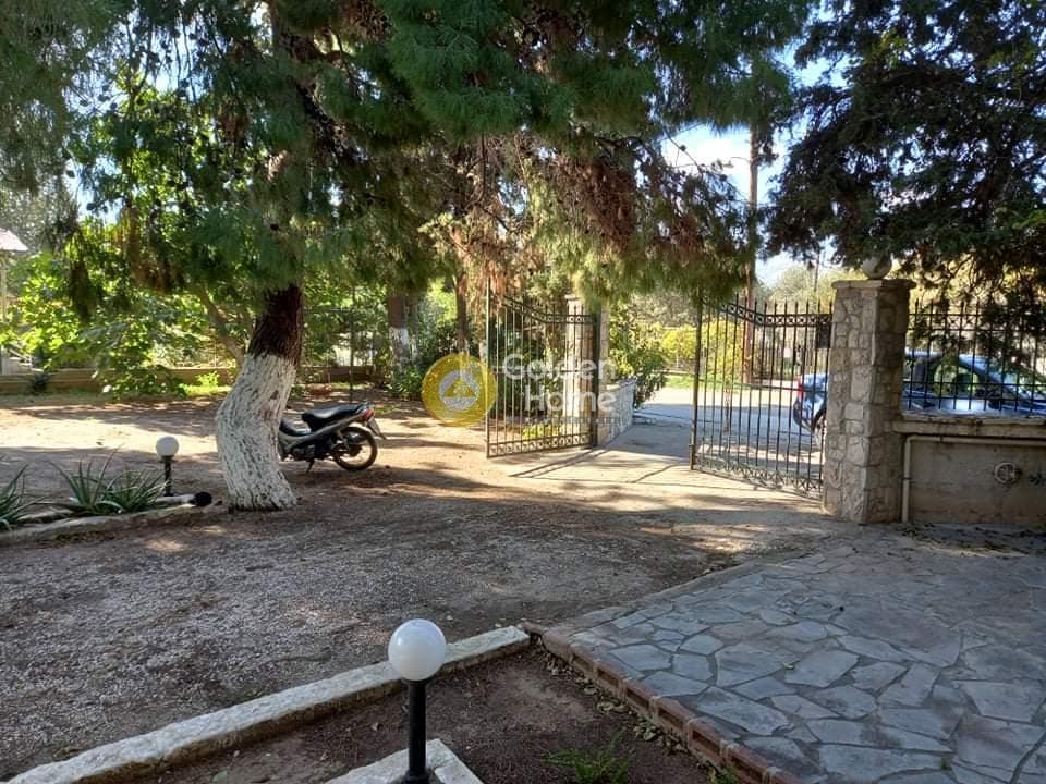 Αγροτεμάχιο στην Κέντρο, Μαραθώνας — Φωτογραφία 7 από 24