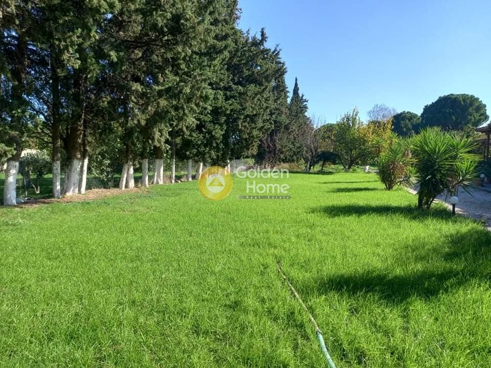 Αγροτεμάχιο στην Κέντρο, Μαραθώνας — Φωτογραφία 9 από 24