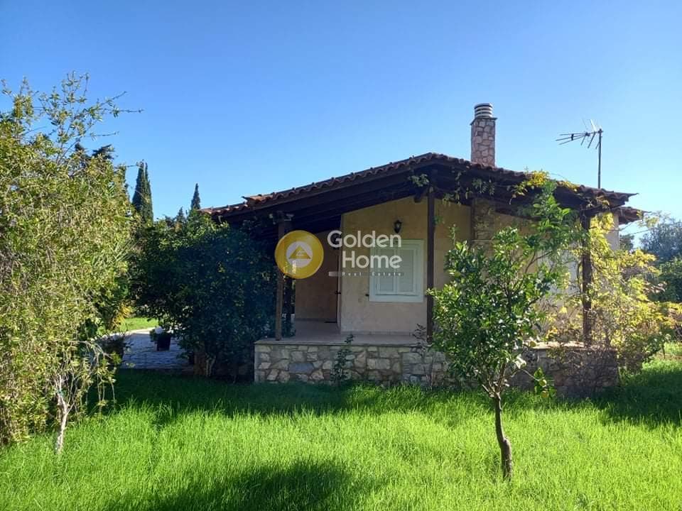 Αγροτεμάχιο στην Κέντρο, Μαραθώνας — Φωτογραφία 13 από 24