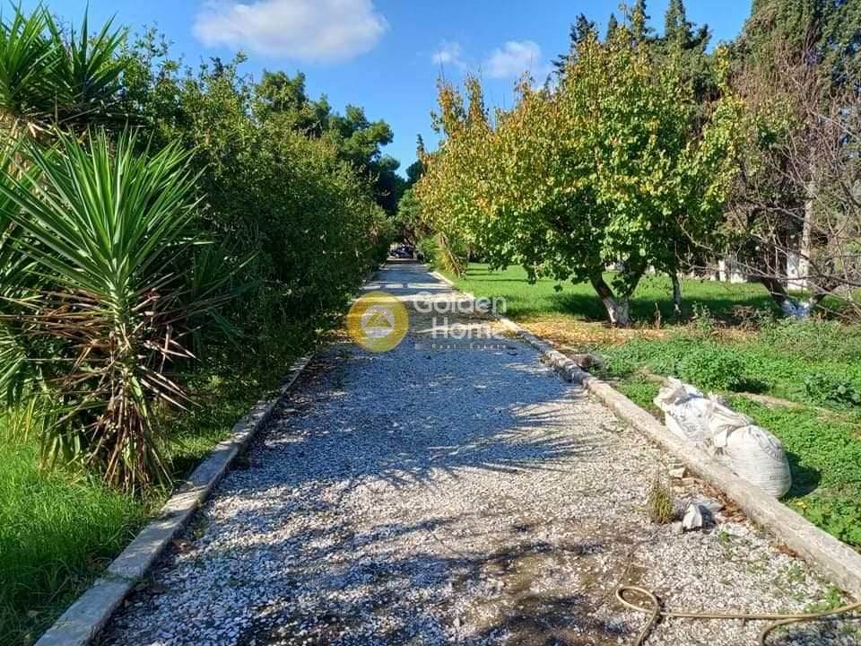 Αγροτεμάχιο στην Κέντρο, Μαραθώνας — Φωτογραφία 16 από 24