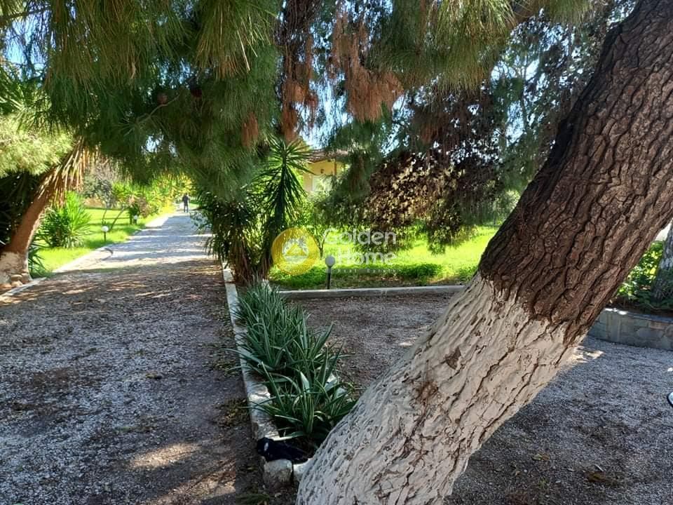 Αγροτεμάχιο στην Κέντρο, Μαραθώνας — Φωτογραφία 19 από 24