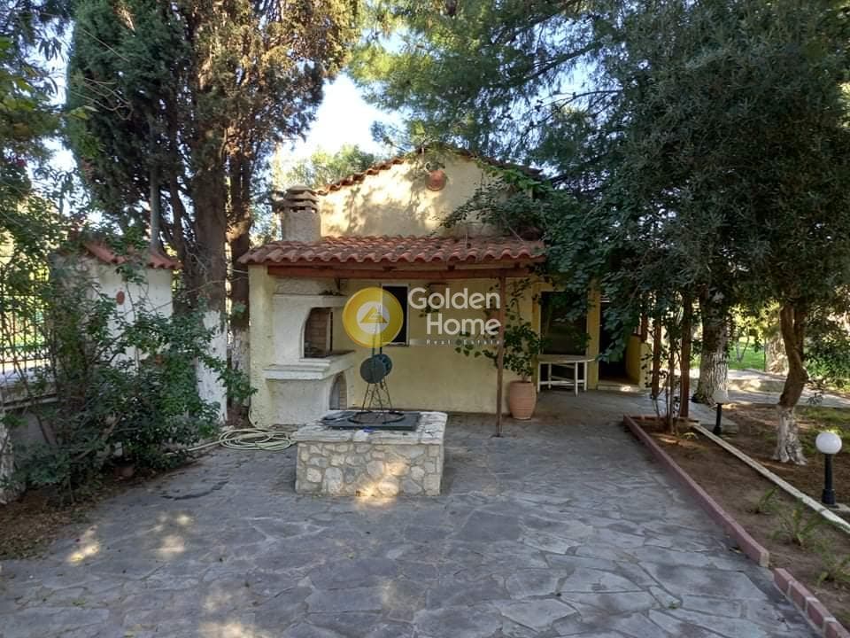 Αγροτεμάχιο στην Κέντρο, Μαραθώνας — Φωτογραφία 20 από 24