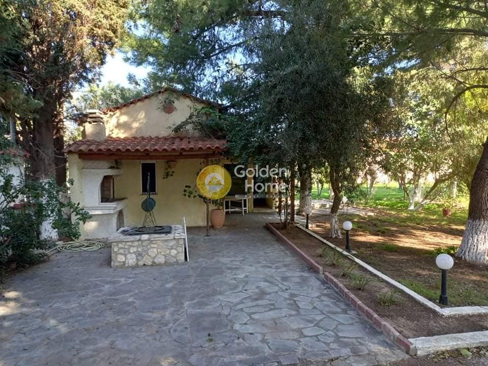 Αγροτεμάχιο στην Κέντρο, Μαραθώνας — Φωτογραφία 24 από 24