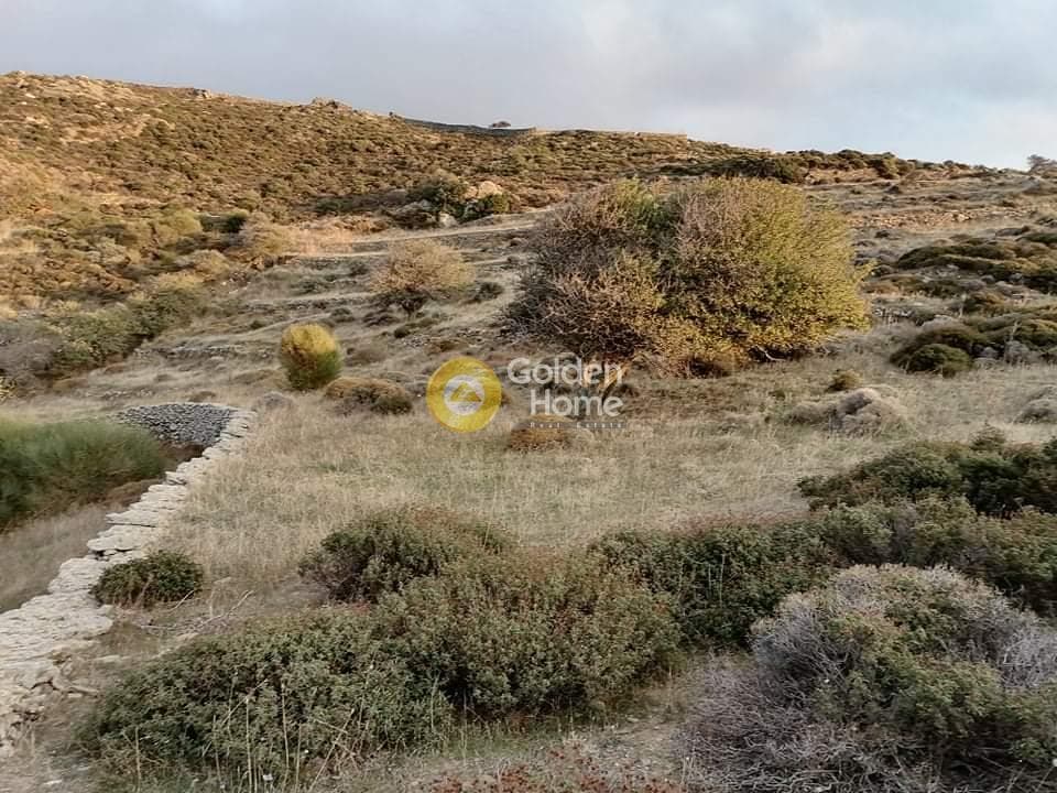 Μονοκατοικία στην Ακάδημοι, Νάξος - Δρυμαλία — Φωτογραφία 6 από 11