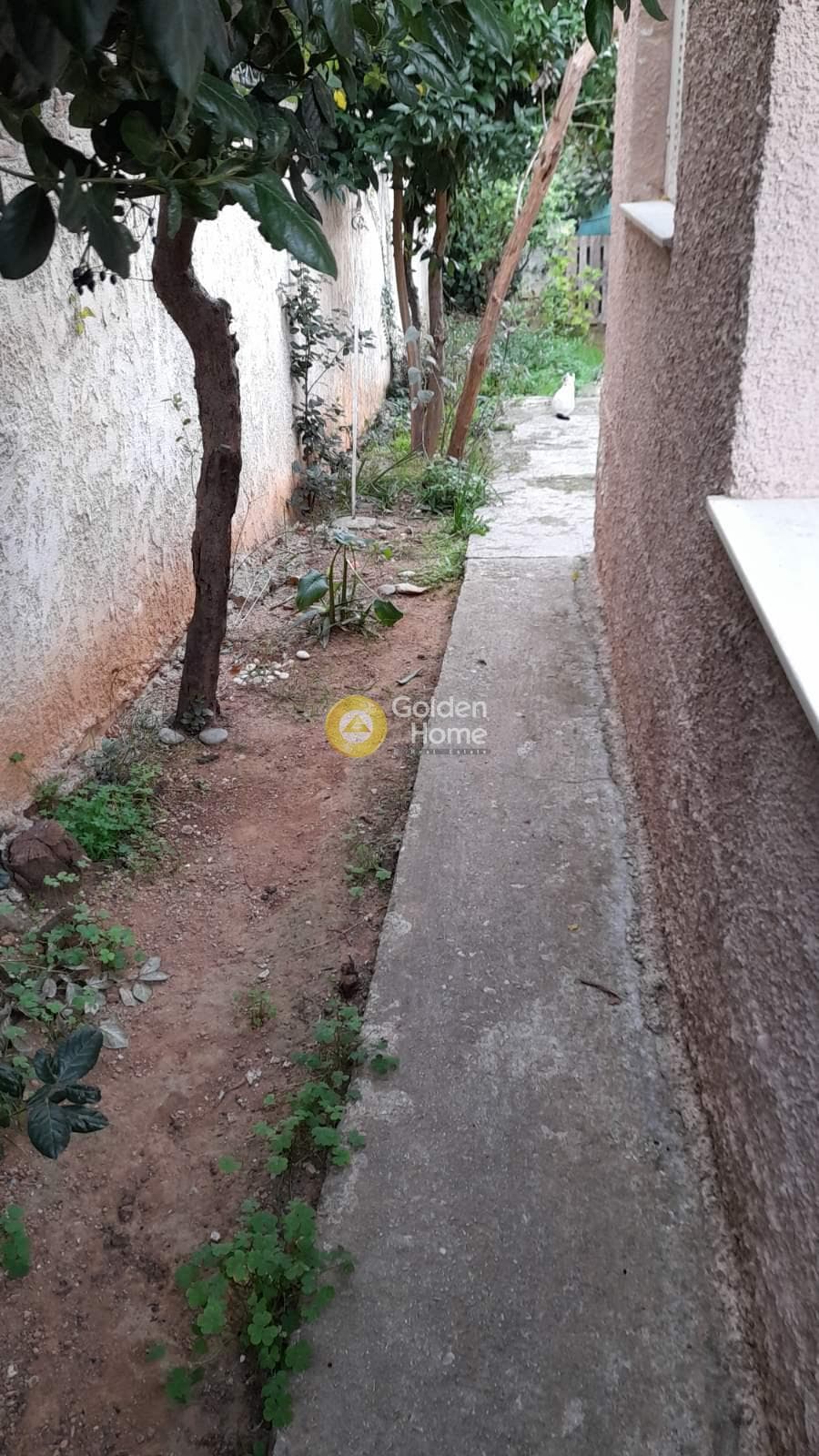 Οικόπεδο στην Σταυρός, Αγία Παρασκευή — Φωτογραφία 4 από 6
