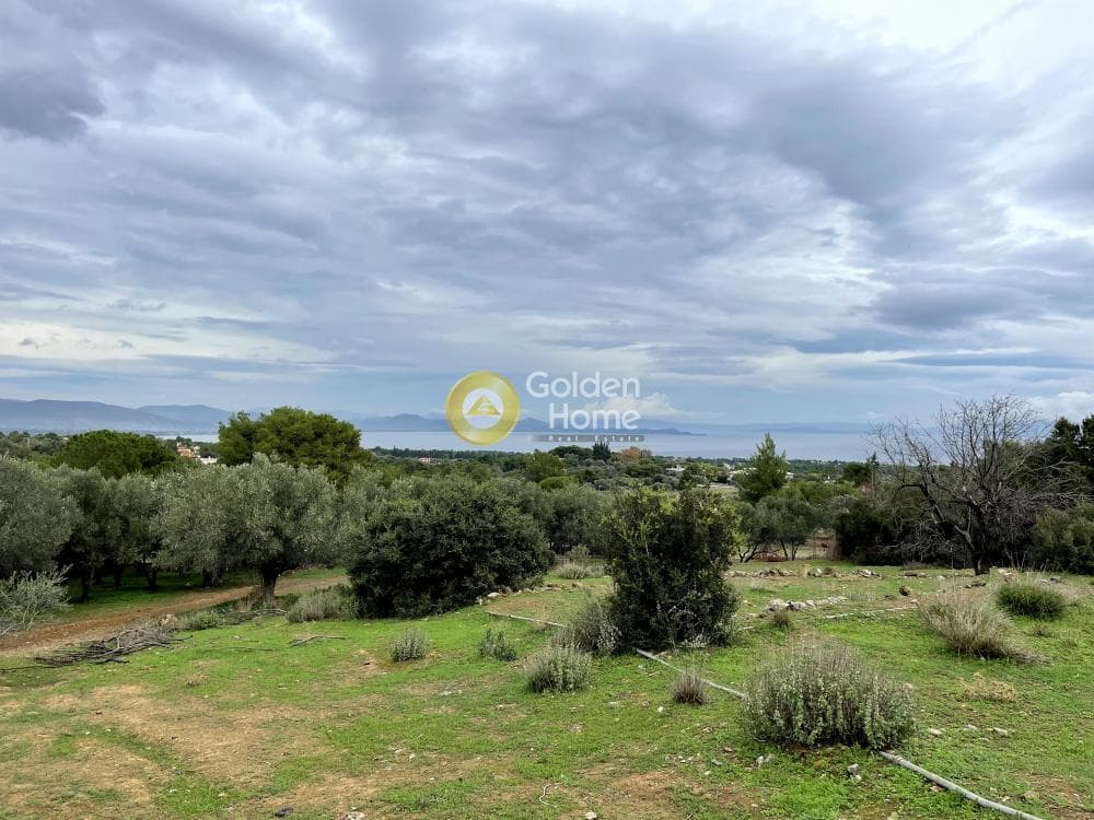 Αγροτεμάχιο στην Αγία Μαρίνα Νέας Μάκρης, Νέα Μάκρη — Φωτογραφία 1 από 14