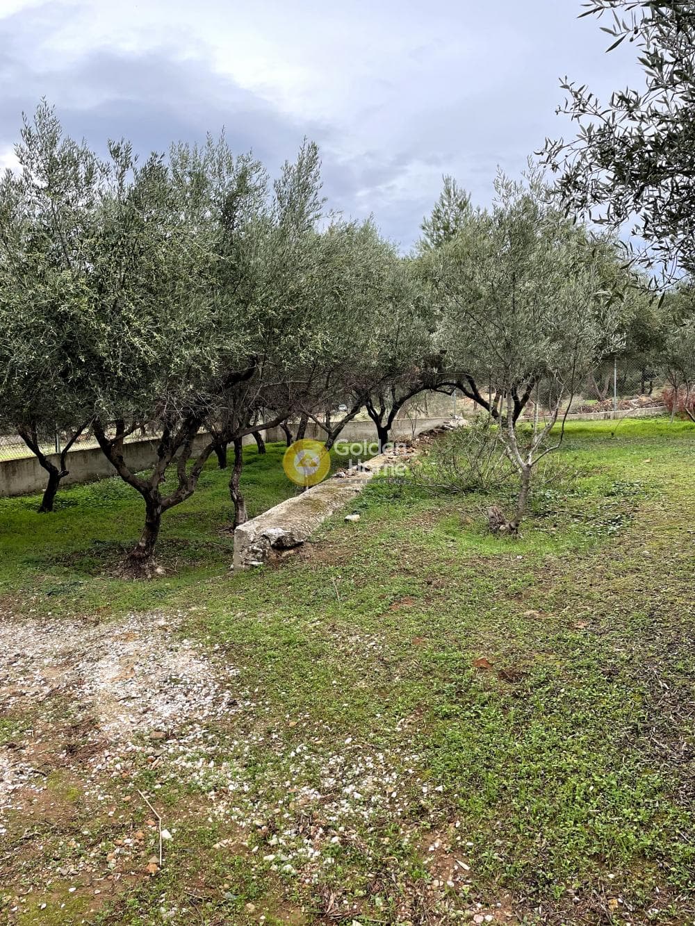 Αγροτεμάχιο στην Αγία Μαρίνα Νέας Μάκρης, Νέα Μάκρη — Φωτογραφία 4 από 14
