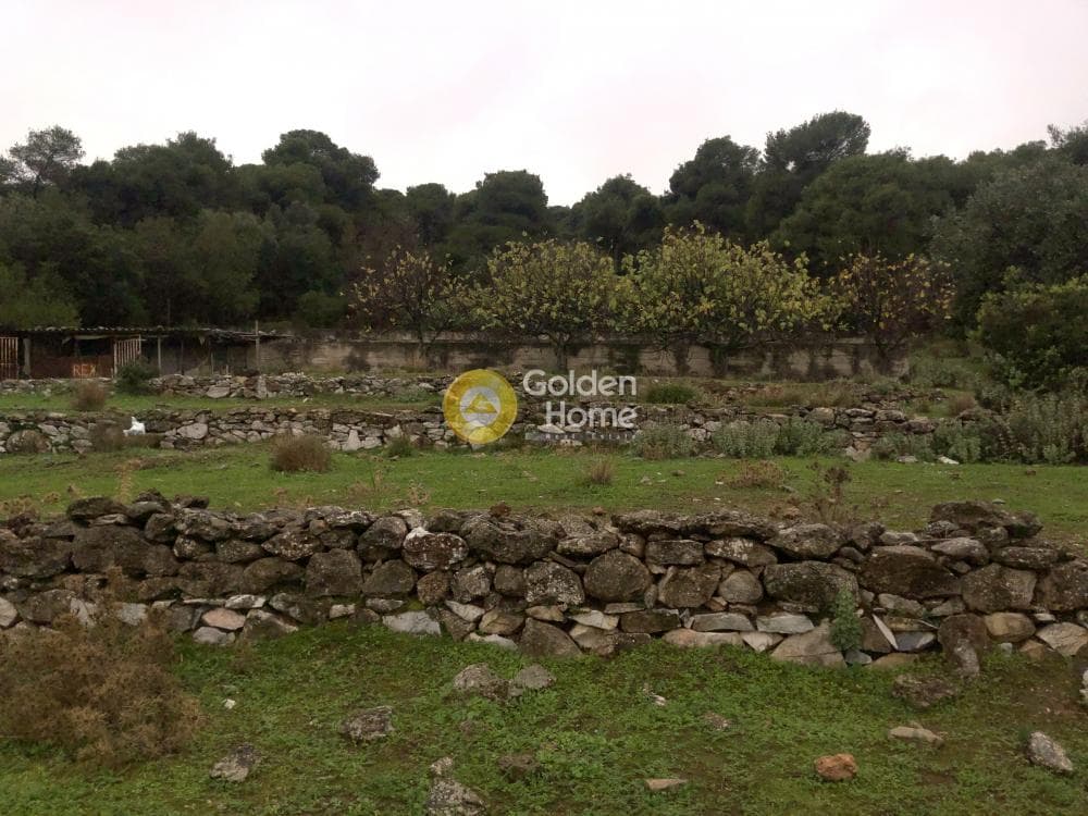 Αγροτεμάχιο στην Αγία Μαρίνα Νέας Μάκρης, Νέα Μάκρη — Φωτογραφία 9 από 14