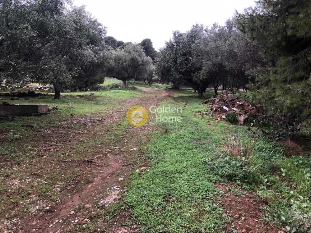 Αγροτεμάχιο στην Αγία Μαρίνα Νέας Μάκρης, Νέα Μάκρη — Φωτογραφία 12 από 14