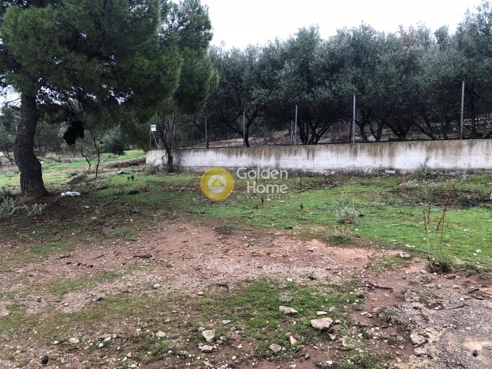 Αγροτεμάχιο στην Αγία Μαρίνα Νέας Μάκρης, Νέα Μάκρη — Φωτογραφία 14 από 14