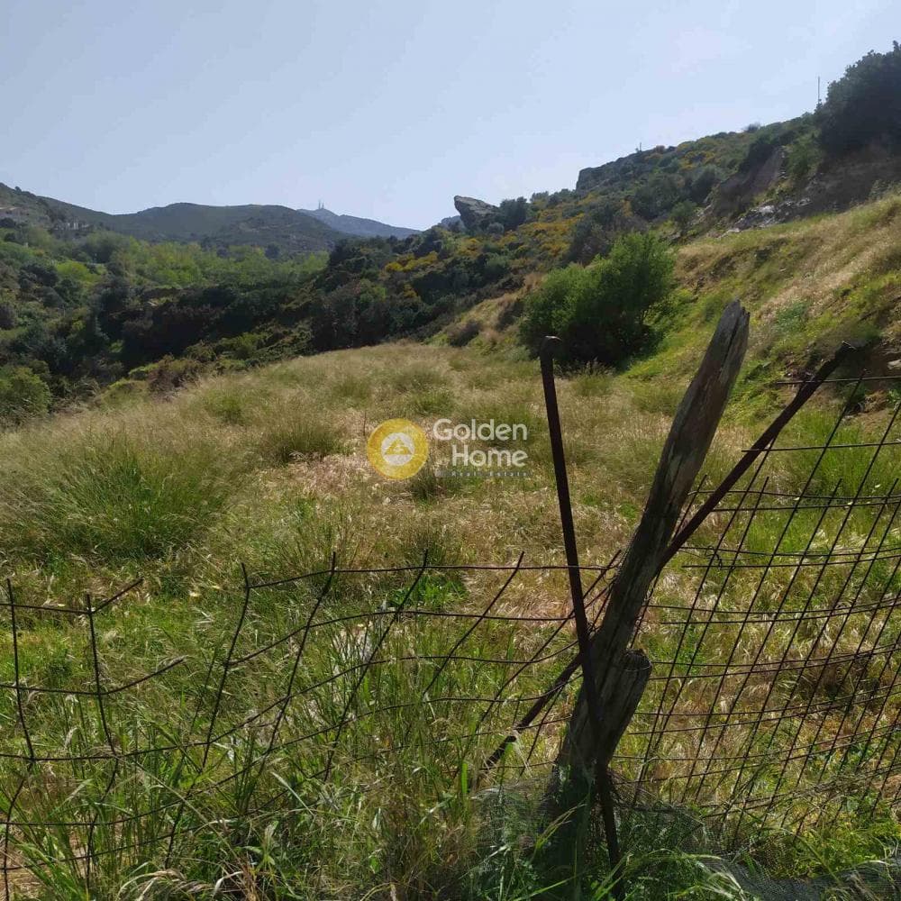 Building Plot in Ligaria, Gazi — Photo 7 of 8