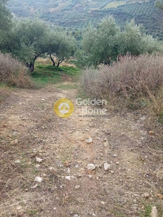 Αγροτεμάχιο στην Άγιος Βλάσιος, Αρχάνες — Φωτογραφία 7 από 18
