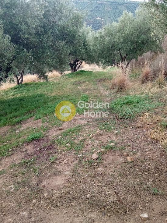 Αγροτεμάχιο στην Άγιος Βλάσιος, Αρχάνες — Φωτογραφία 6 από 18