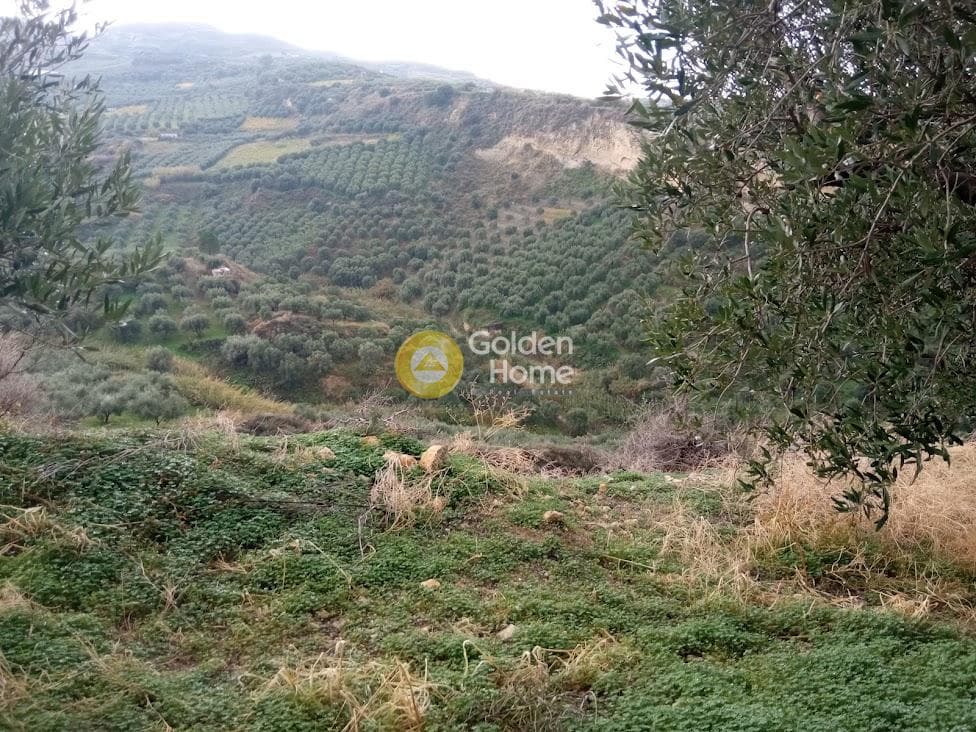 Αγροτεμάχιο στην Άγιος Βλάσιος, Αρχάνες — Φωτογραφία 5 από 18