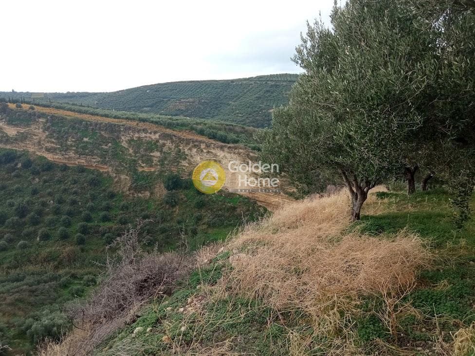Αγροτεμάχιο στην Άγιος Βλάσιος, Αρχάνες — Φωτογραφία 15 από 18