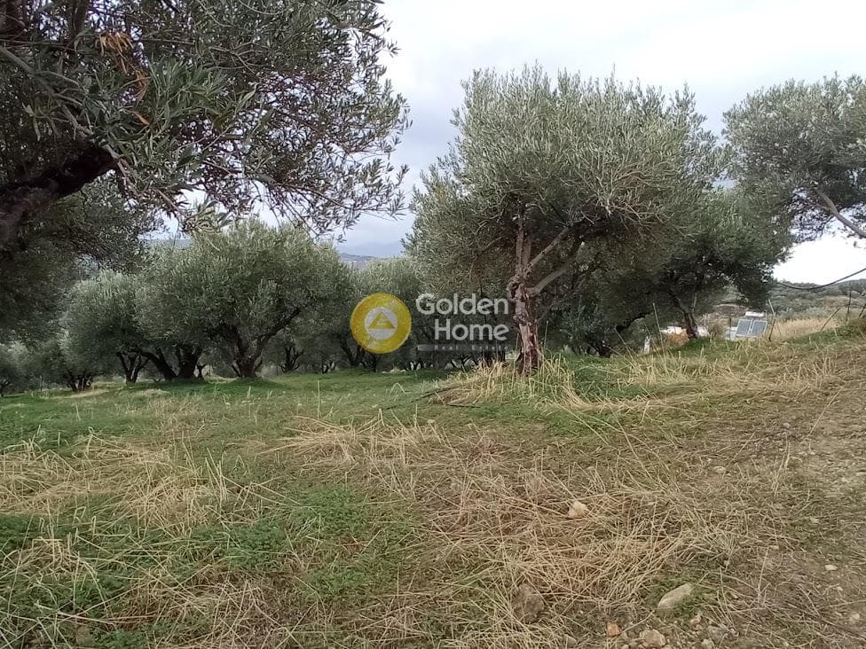 Αγροτεμάχιο στην Άγιος Βλάσιος, Αρχάνες — Φωτογραφία 11 από 18