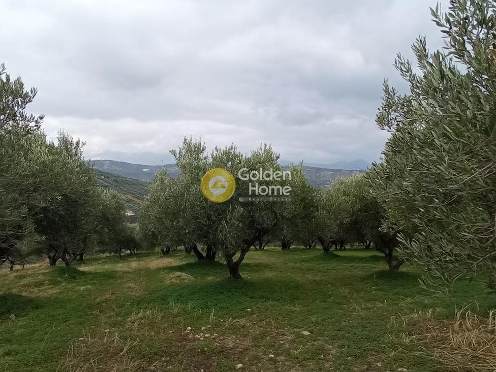 Αγροτεμάχιο στην Άγιος Βλάσιος, Αρχάνες — Φωτογραφία 14 από 18