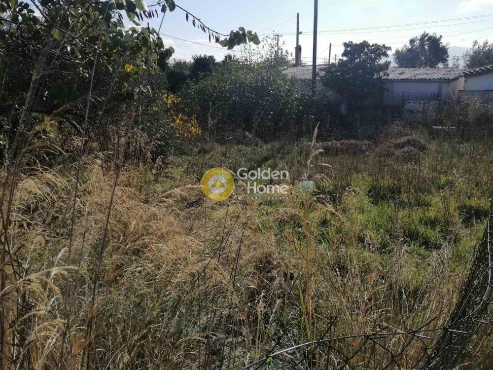 Αγροτεμάχιο στην Μεγάλα Σχοινία Α, Αχαρνές — Φωτογραφία 1 από 2