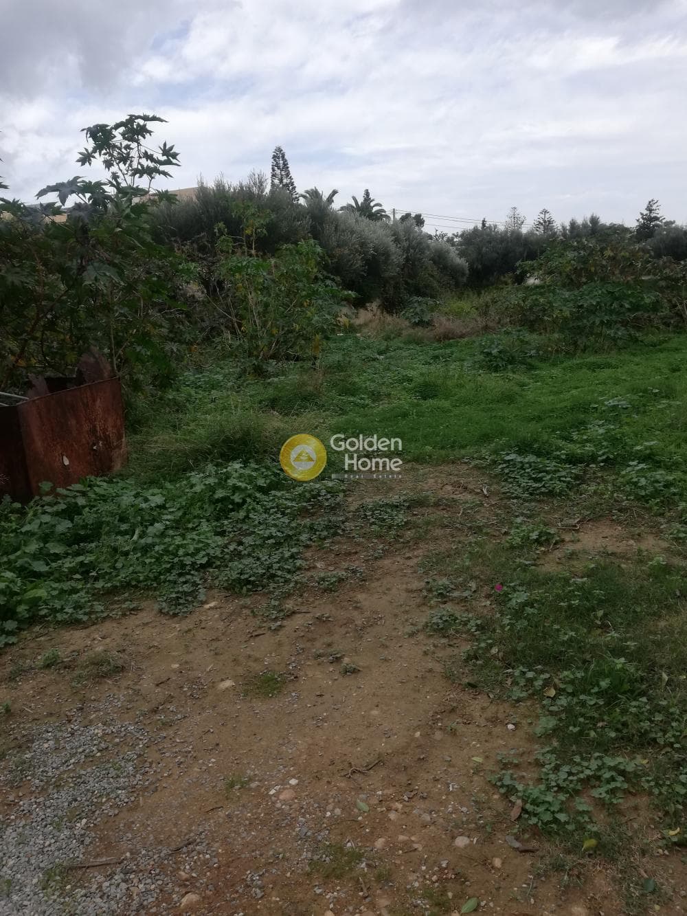 Parcel in Skafidaras, Gazi — Photo 1 of 5