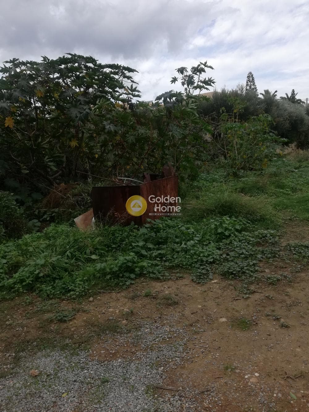 Parcel in Skafidaras, Gazi — Photo 2 of 5