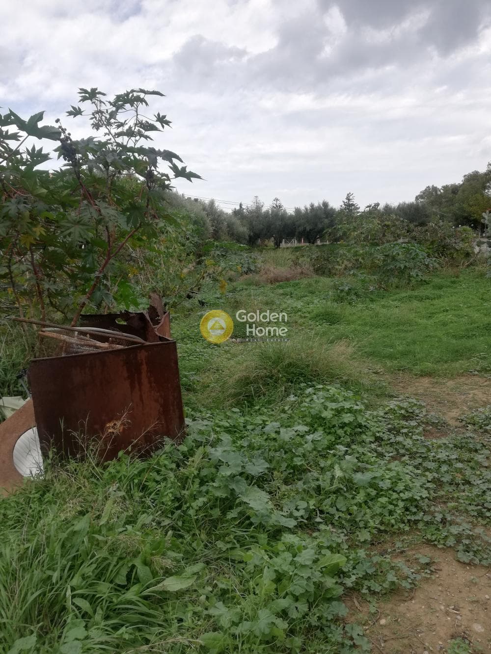 Parcel in Skafidaras, Gazi — Photo 3 of 5