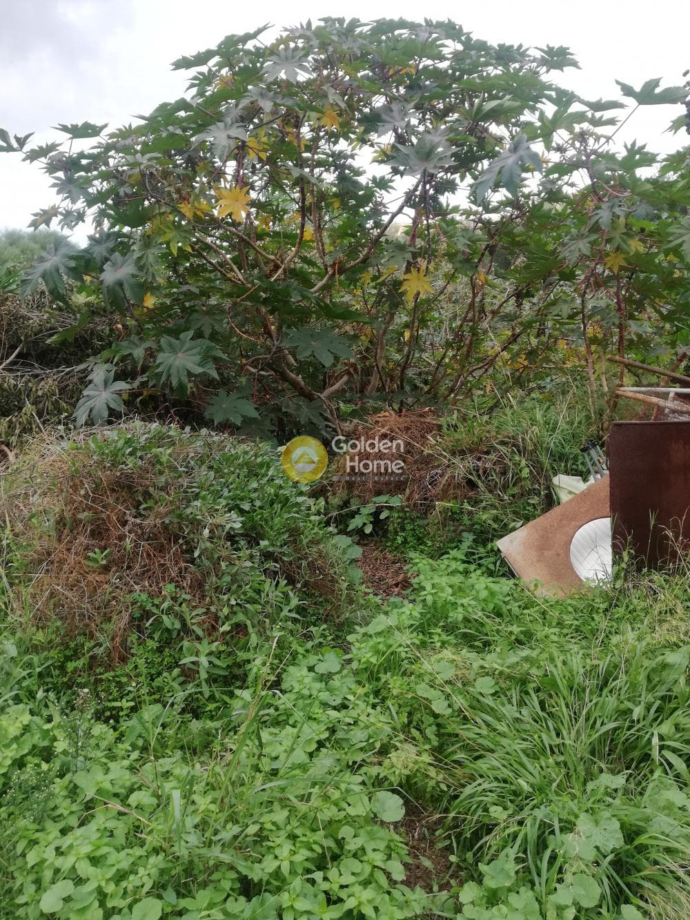 Parcel in Skafidaras, Gazi — Photo 4 of 5