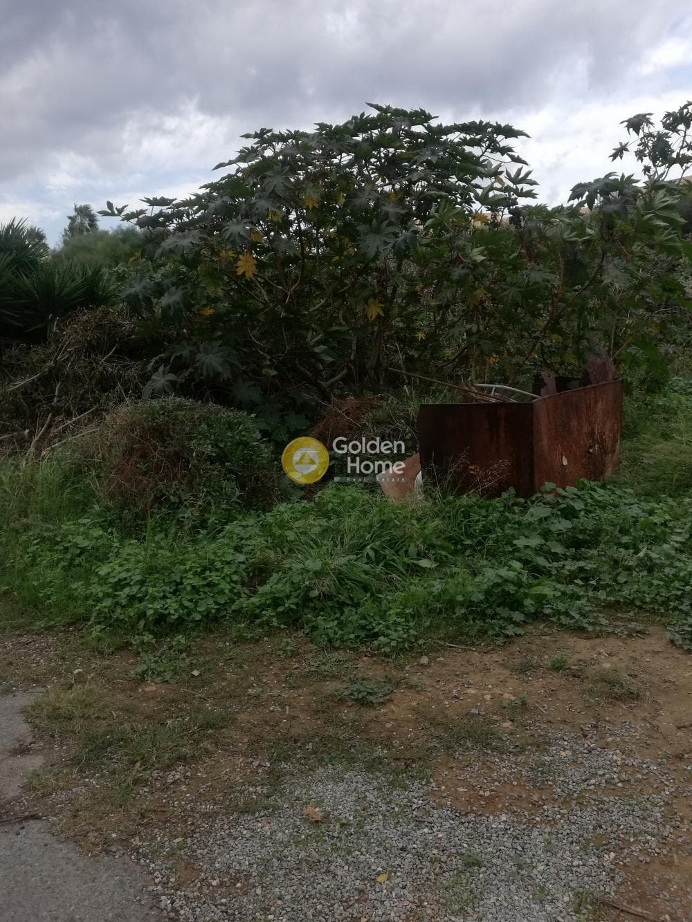 Parcel in Skafidaras, Gazi — Photo 5 of 5