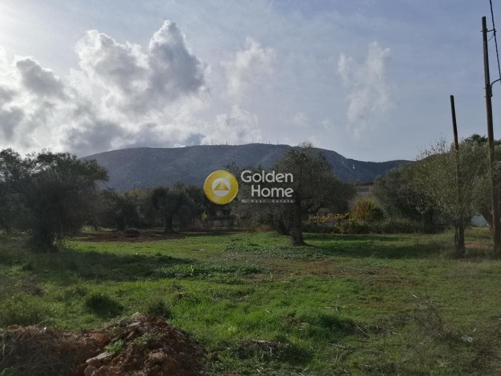 Οικόπεδο στην Αγία Μαρίνα, Παιανία — Φωτογραφία 1 από 8