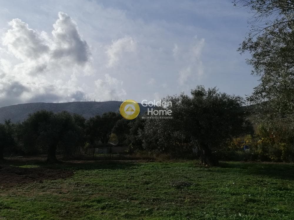 Οικόπεδο στην Αγία Μαρίνα, Παιανία — Φωτογραφία 6 από 8